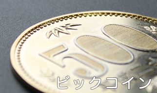ビックコイン500円