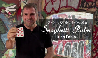 スパゲッティ・パーム【マーフィーズ社・ダウンロード動画】